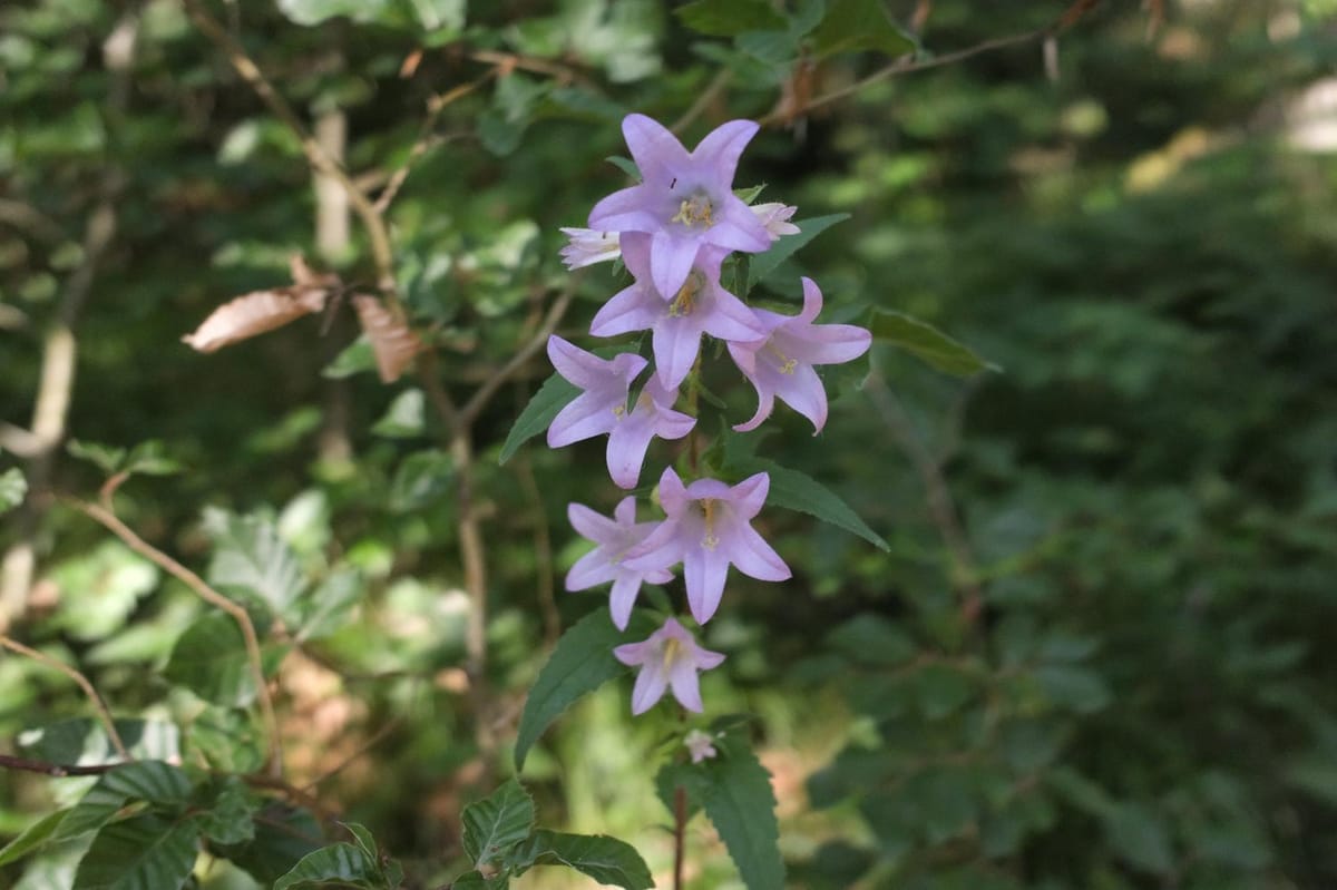 Why You Need Rest For Your Best Ideas