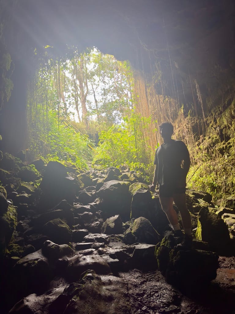 The Nonsense Of Poetry