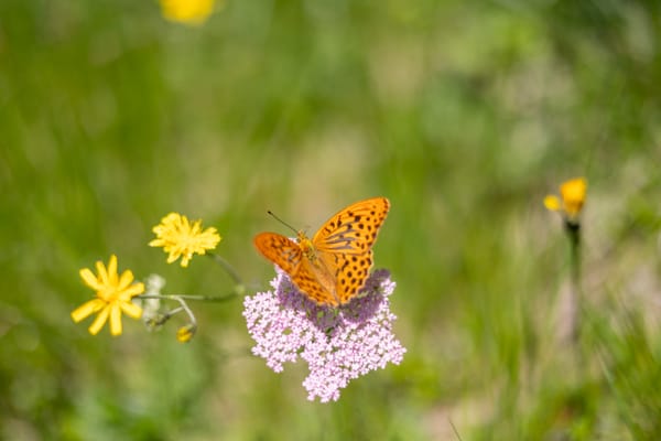 What Publishing 63 Blog Posts Taught Me