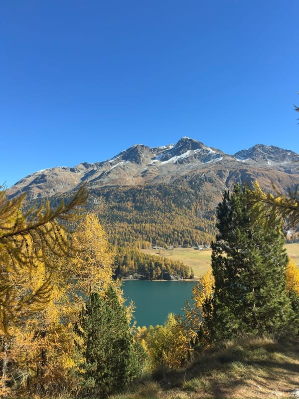 It's All About Momentum